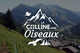 Chalet La Colline aux Oiseaux - location chatel, multipass chatel, location appartement chatel, l'echo des montagnes chatel